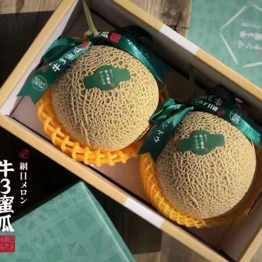 蜜纹牛3蜜瓜 商品图12