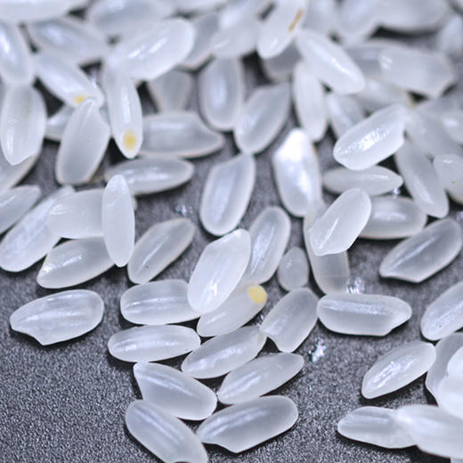 溢田 长粒香大米5kg绿色食品东北大米新米【厂家直供】清香软糯 健康安心 煮粥 煮饭 炒饭优选 商品图2