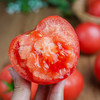 【果叔严选】新疆普罗旺斯西红柿5斤 顺丰直发 商品缩略图0