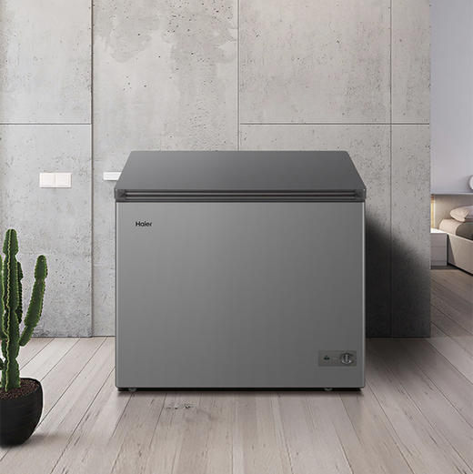 海尔（Haier）冷柜FCD-251LHKPT双温柜 商品图2