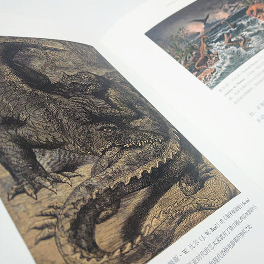 为什么我们迷恋恐龙 商品图4