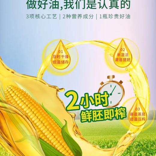 福临门非转压榨玉米油1.8L 商品图1