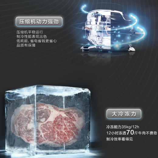 海尔（Haier）冷柜BC/BD-519HCM变温柜 商品图3