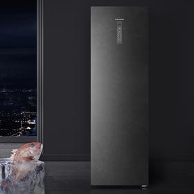 卡萨帝（Casarte）冷柜BD-331WEGAU1冷冻柜