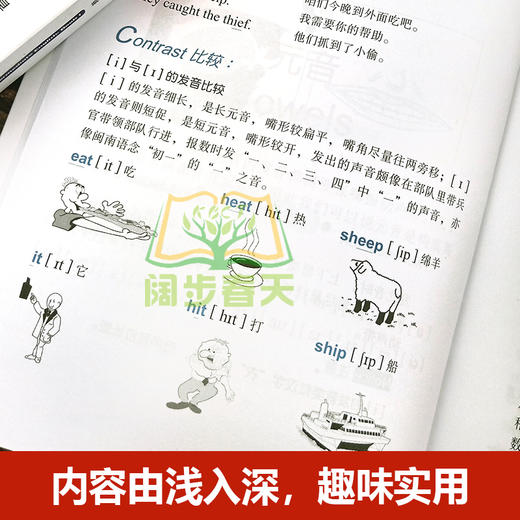 【优惠套装】全套7册赖世雄美语从头学全套 赖世雄美语音标入门+初级上下册+中级上下册+高级美语美式英语成人零基础初级入门书籍 商品图4