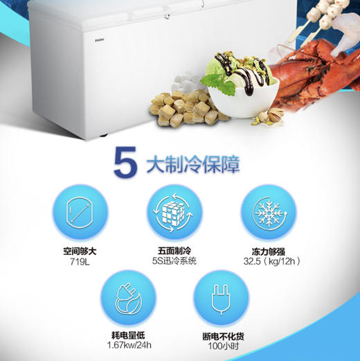 海尔（Haier）冷柜BC/BD-719HEZ变温柜 商品图1