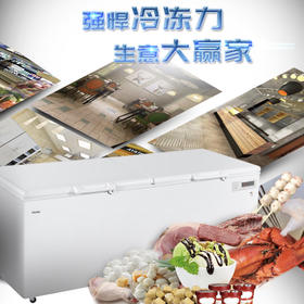 海尔（Haier）冷柜BC/BD-1028T变温柜