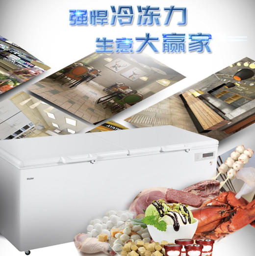 海尔（Haier）冷柜BC/BD-1028T变温柜 商品图0