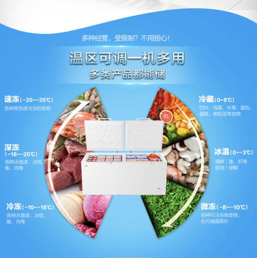 海尔（Haier）冷柜BC/BD-629HEZ变温柜 商品图6