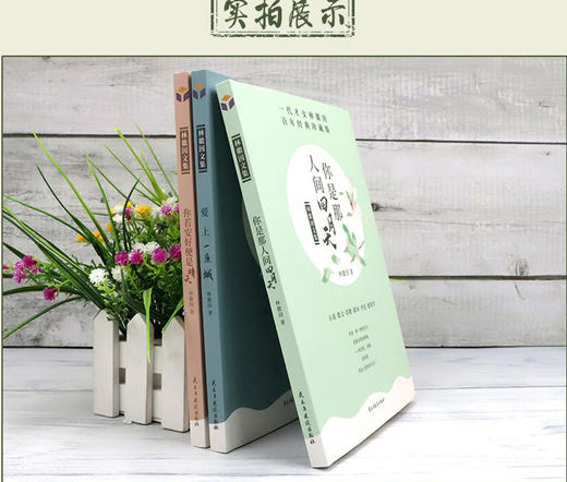 【优惠套装】林徽因作品集全3册 你若安好便是晴天+你是那人间四月天+爱上一座城青春情感散文小说诗歌励志中国现当代经典文学随笔林徽因的书籍 商品图2