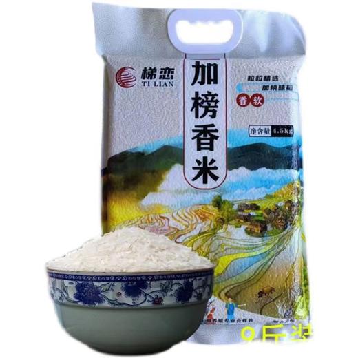 加榜香米4.5kg/袋【GYAJQ】 商品图0