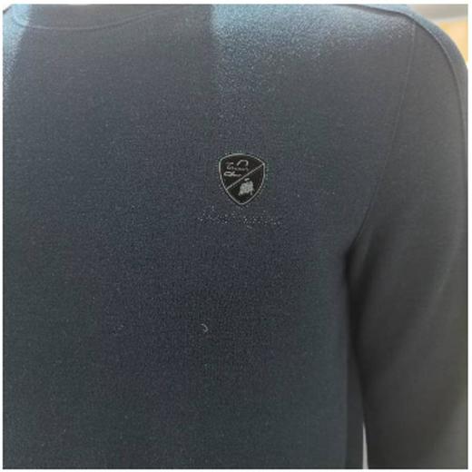 南4迪诺兰顿长袖T恤 商品图1