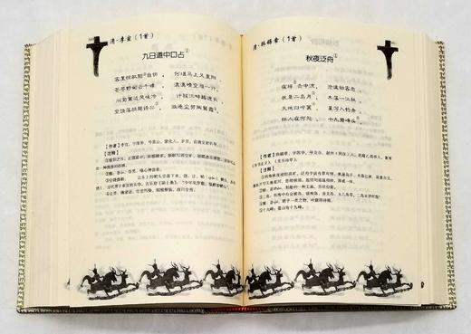 《云南历代诗词选》，精装32开，云南诗词学会、云南大学中文系选注，云南人民出版社2002年版，896页，定价60，售价48元。品相95成。云南历代诗词极其丰富，上起汉魏，下迄明清，诗家辈出 商品图7