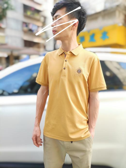 男短袖反领5765 商品图4