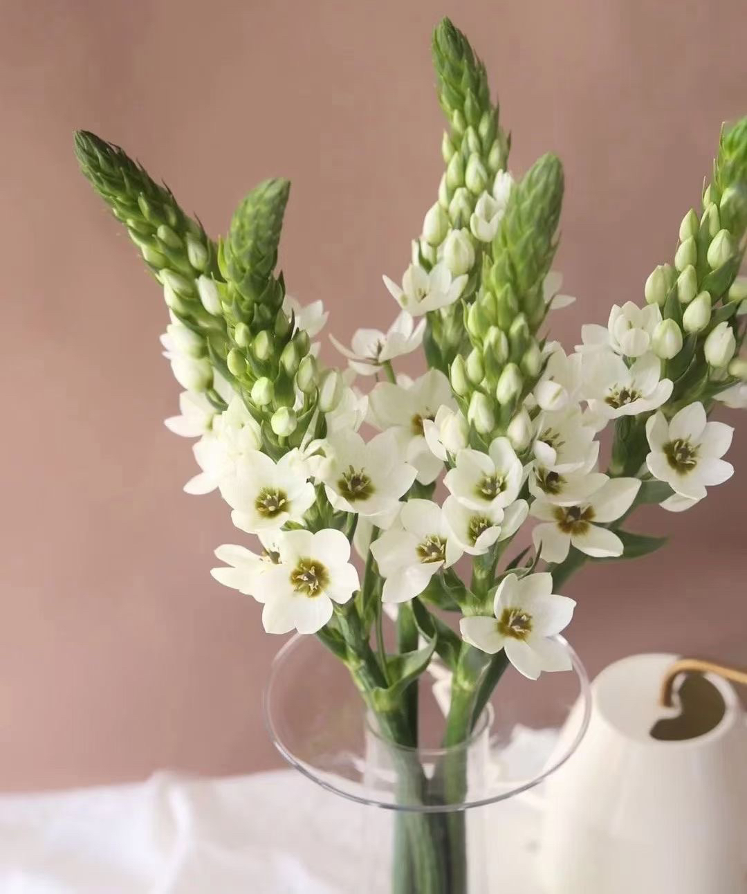 白色圣心圣心百合一份5支