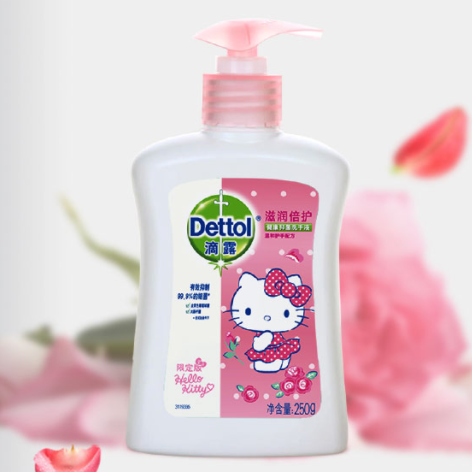滴露洗手液250g