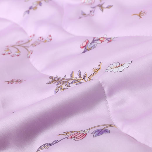 【皇锦】天丝印花双人被蚕丝被-馨香 商品图2