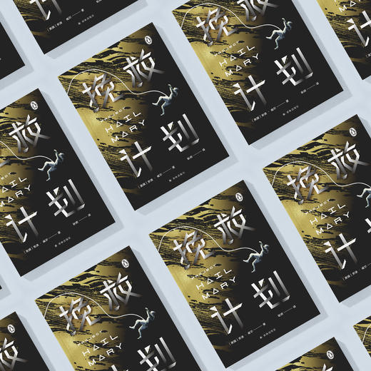 《挽救计划》 商品图2