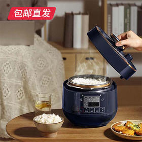 【包邮直发】松下电压力锅 2L SR-PB201-B（ZB）