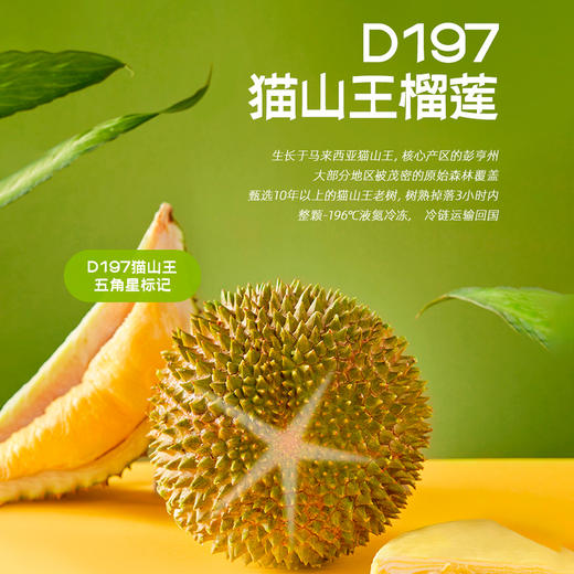 「一口爆浆真榴莲」 端午节与粽不同 q弹冰皮 果肉多到溢出来 开袋即食 榴芒一刻榴莲/芒果冰粽礼盒 432g/盒 水晶粽子 冰淇淋口感 一年就一阵儿 自用送礼皆可 商品图3