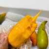 福返辣椒芒🥭 商品缩略图5