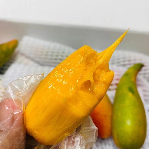 福返辣椒芒🥭 商品图5