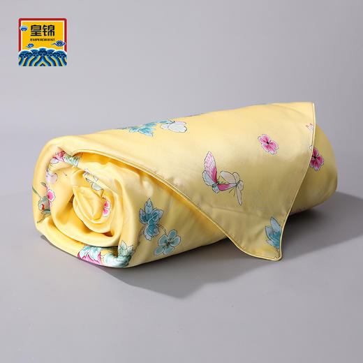 【皇锦】真丝方毯儿童蚕丝被·瓜蝶连绵 商品图0