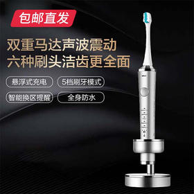 【包邮直发】松下声波振动牙刷 电动 EW-PDP51（ZB）