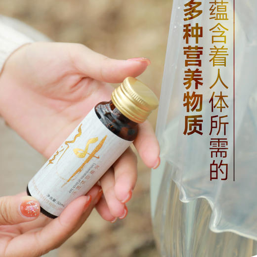 【桦树汁 生命之水】大自然的馈赠 一年只采15天 10倍浓缩桦树汁 50ml*8支/2盒 商品图4