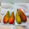 福返辣椒芒🥭 商品缩略图1