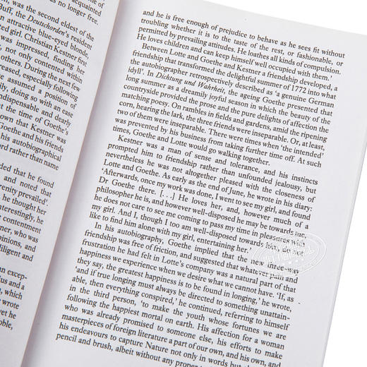 预售 【中商原版】歌德：少年维特的烦恼 英文原版 The Sorrows of Young Werther Goethe 商品图3