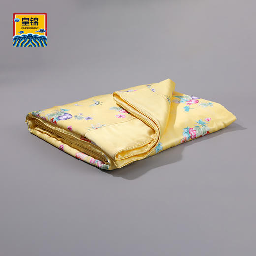 【皇锦】印花蚕丝被100桑蚕丝真丝被·瓜蝶连绵 商品图1