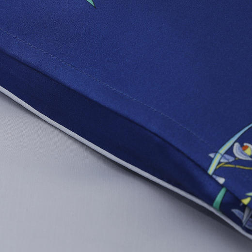 【皇锦】印花真丝荞麦枕芯·兰兮 商品图4