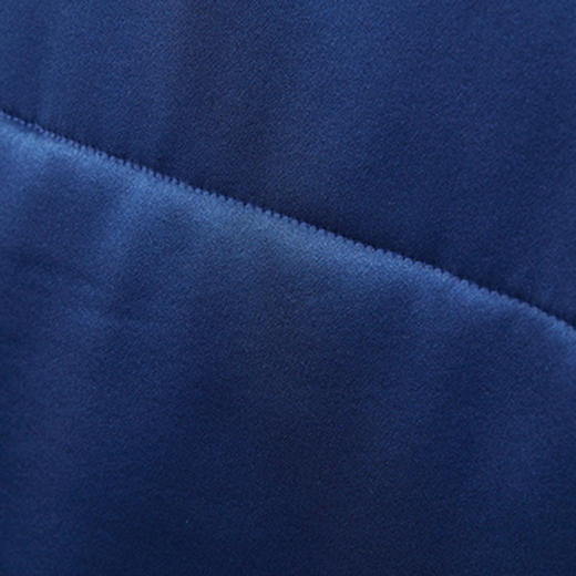 皇锦印花真丝被儿童桑蚕丝被-兰兮HJ11574 商品图4