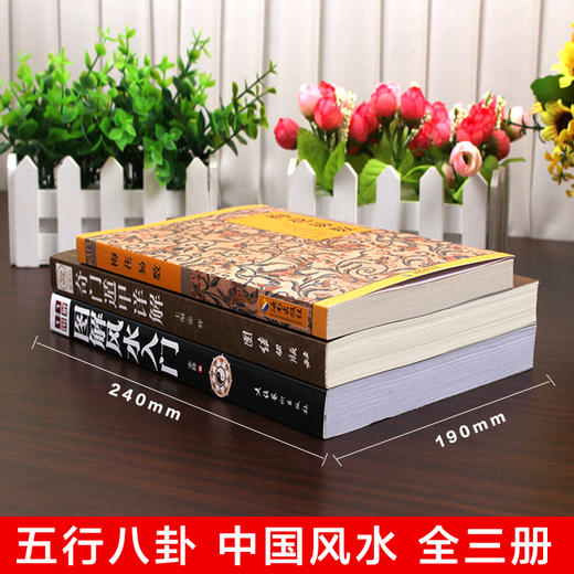 【心如健】全三册奇门遁甲详解图解风水入门梅花易数易经全书周易风水学玄学入门书籍奇门遁甲大全预测学五行即学即用命理阴阳 商品图1