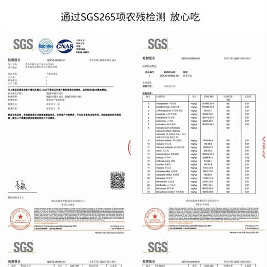 一年一约🍈 马连庄新鲜甜瓜 丨无农残 香甜滋味 记忆里的味道丨通过SGS欧标194项农残检测 商品图3