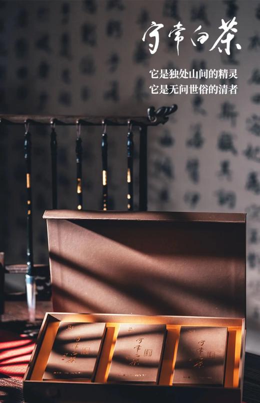 传成老树白茶荒野银针【MJ自采】 商品图1