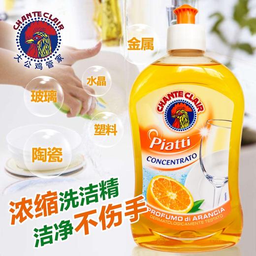 大公鸡洗洁精500ML香型随机 商品图2