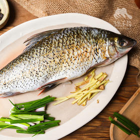 生态土鲮鱼| 合作生产 * Eco- Dace | Coproduction