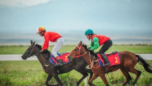 2022新疆之旅-熊孩子的新疆旅行日记 商品图1