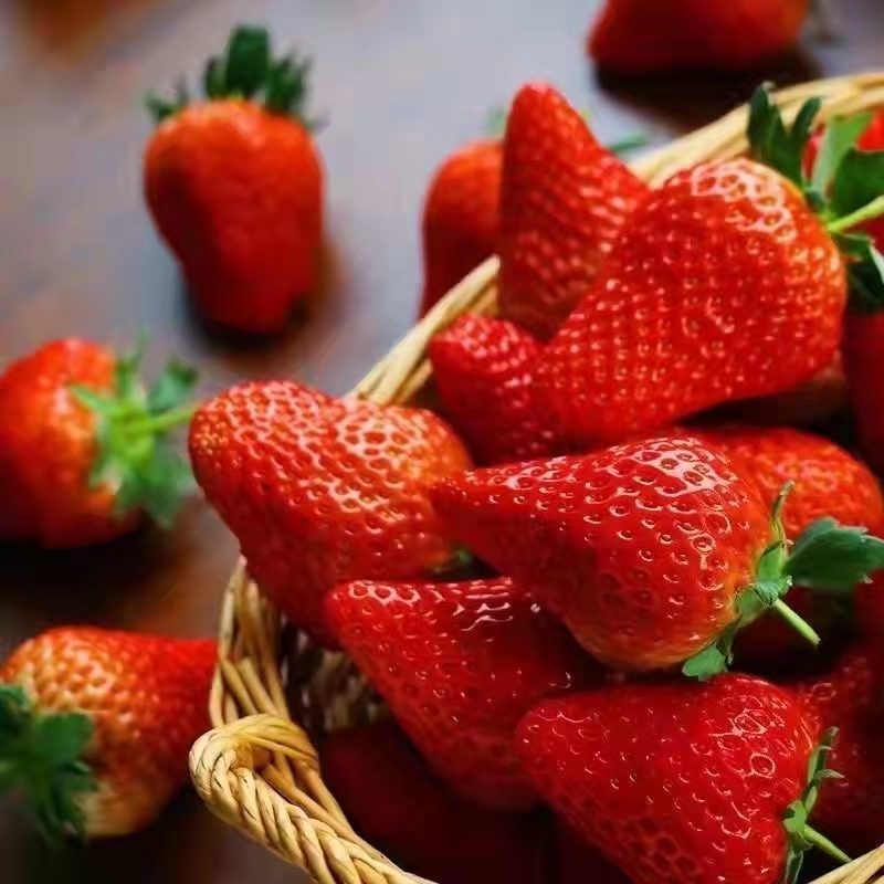 4月11日周六自提团购链接