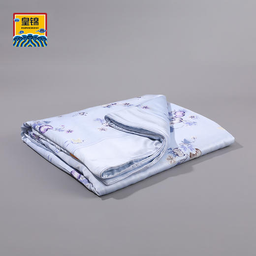 【皇锦】印花蚕丝被100桑蚕丝真丝被·瓜蝶连绵 商品图0