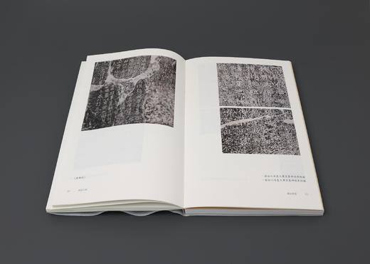 南朝气韵：六朝石刻碑帖讲演录 商品图4