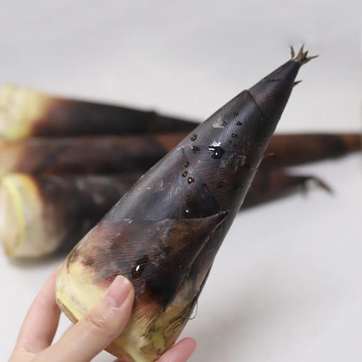 生态红雷笋  | 合作生产 *  Ecological red thunder bamboo shoot  | Coproduction 商品图2