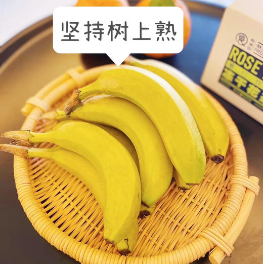 【地理标识产品 天宝香蕉】2000多年种植历史 树上熟 肉质软滑细腻，果肉无心、浓甜爽口 商品图2
