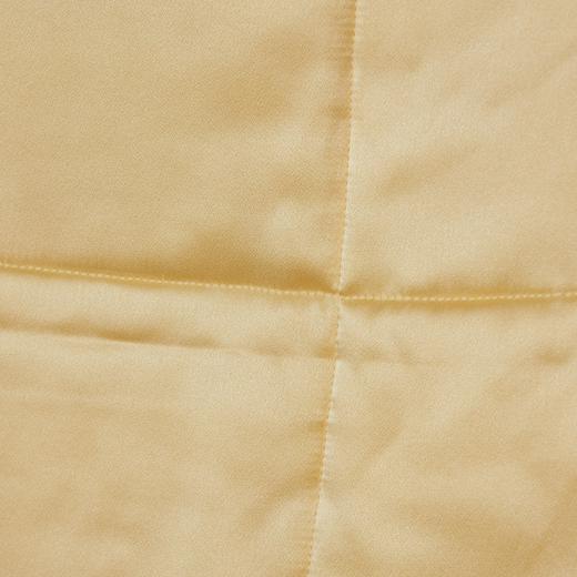 【皇锦】儿童真丝被儿童蚕丝被小方毯 商品图3