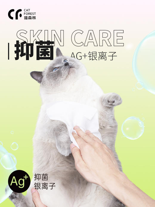 【赠品链接勿拍，单拍不发货】猫森林宠物清洁湿巾小包随身装 商品图1