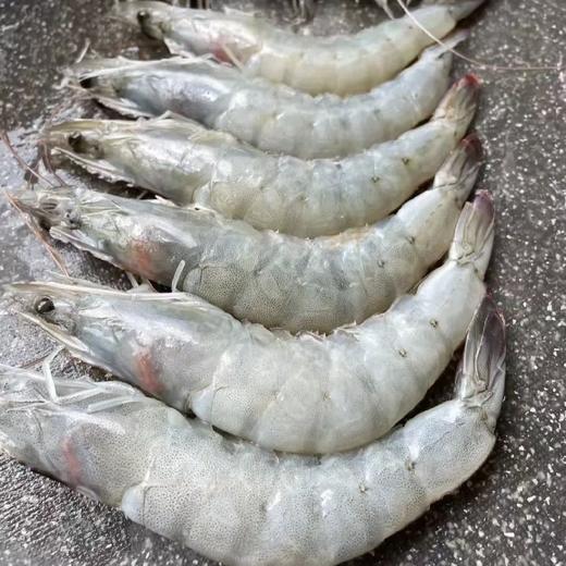 青岛深海野生大虾 4斤装（顺丰京东快递） 商品图2