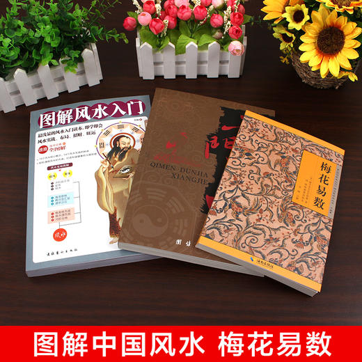 【心如健】全三册奇门遁甲详解图解风水入门梅花易数易经全书周易风水学玄学入门书籍奇门遁甲大全预测学五行即学即用命理阴阳 商品图2