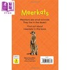 【中商原版】Reading Gems Fact Finders Meerkats Level 1 宝石百科小读本1级 猫鼬 分级阅读 英文原版 儿童动物科普读物 商品缩略图1